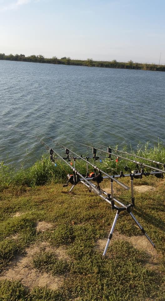 Chiscani 2017 - 22050021166985081308493294509436079531456n.jpg